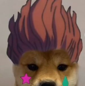 Meet your Posher, Kiley